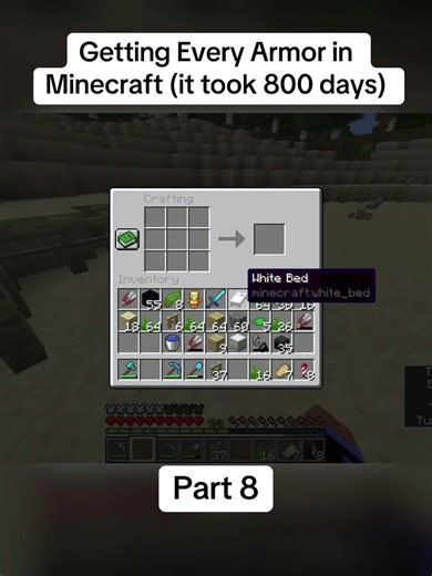 Getting Every Armor in Minecraft (it took 800 days)#viral #MineCraft #fyp