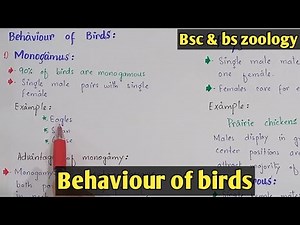 reproductive behavior of birds | polygamous, polyandrous And monogamous | Class Bsc Zoology