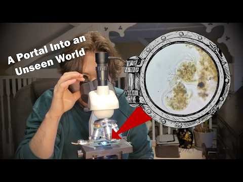 My First Time Using A Microscope