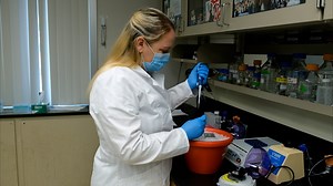 Reconstitution of Msp1 Extraction Activity with Fully Purified Components