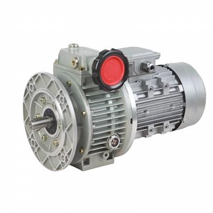 [Hot Item] RV Worm Gearbox with Udl Speed Variator and Motor