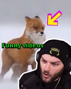 We Laugh The Video Ends w/ Eddie | Joshdub