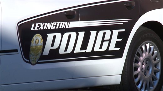 Woman charged in stolen vehicle police chase in Lexington