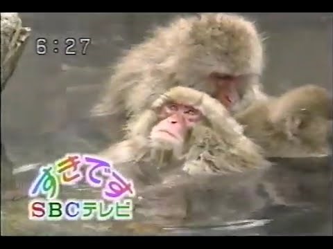 1997年8月頃のCM その2
