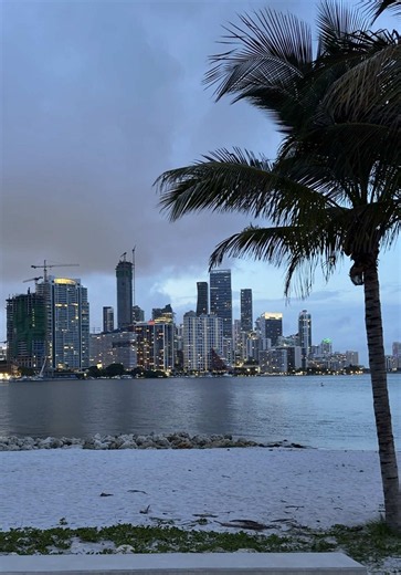 Straight out of Vice City.🌴🌃 #miami #miamibeach #florida #vicecity #miamilife