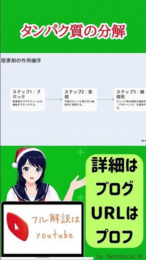 タンパク質の分解 #分子生物学 #分子細胞生物学 #大学 #生物 #解説