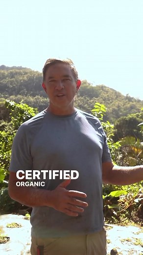 Ko Farms is one of our absolute favorite local farms! 🥬🙌🏼📍 Their certified organic herbs, kale, collard greens, dandelion greens and more are farmed in rich and healthy soil deep in #PaloloValley on Oahu. You can find their nutritious greens at many of our Oahu stores! Comment below if you’ve tried any produce from #KoFarms! 👇🏼 | Down to Earth Hawaii