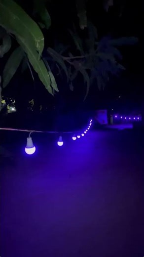 12v multi colour bulb running thoranam❤️‍🔥😍 #sankartech #new #thoranam #12vbulb #trending