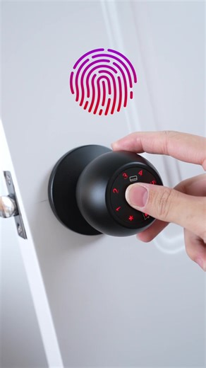 智能锁的未来：微型临时锁介绍