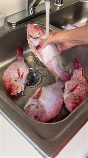 Cómo Hacer Mojarras Fritas al Estilo Tradicional