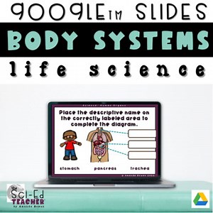 Different Systems in the Body Digital Activity
