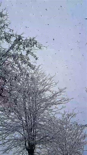 Frozen Waterfall Paradise ❄️ | Magical Winter Nature View | Relaxing Snowy Waterfall Scenery #short