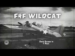 F4F Wildcat Idling ⨀ Vintage Aircraft Engine Sounds for Deep Sleep
