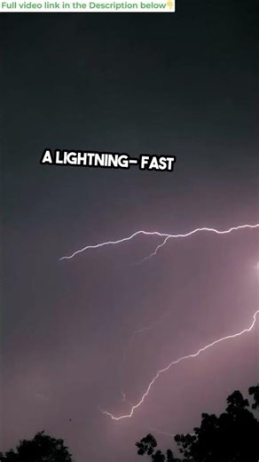 Professional Line Art & Mascot Logos | 4.9★ Rated Designer You’ll Love!