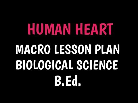Biological science macro lesson plan on Human heart B.Ed. in english | Human heart lesson plan b.ed