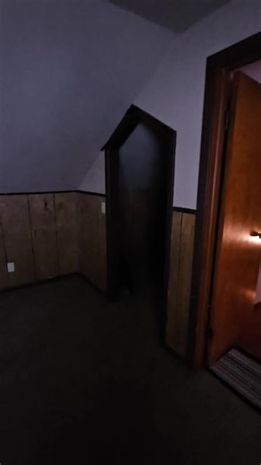 working on the upstairs room, found this great LED tree at Menards.