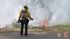2.3K views · 71 reactions | On a warm June day, California State...