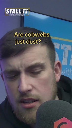 Cobwebs: Dust or Spiderwebs? The Debate Explained