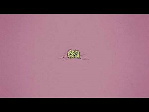 Machine Gun Kelly - love race (feat Kellin Quinn)