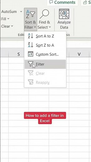 How to add a filter in Excel excel