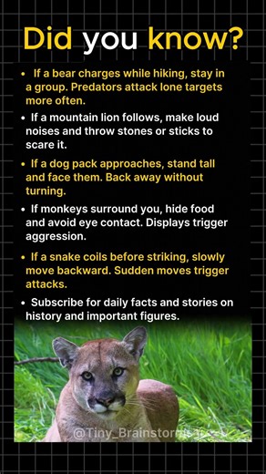 How To Survive A Wild Animal Encounter