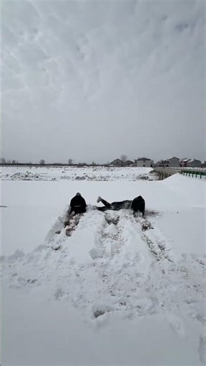 #Creator center#Creative inspiration#Funny how did it fall#Folk real shot