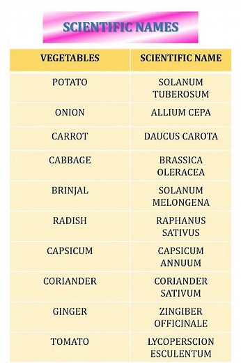 Scientific names of vegetables