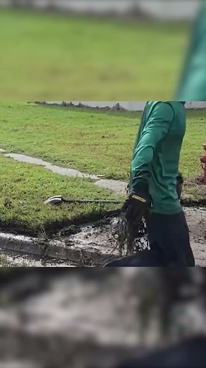 Yard Work Wonders: Tackling Overgrown Lawns and Beautiful Yard Transformations.