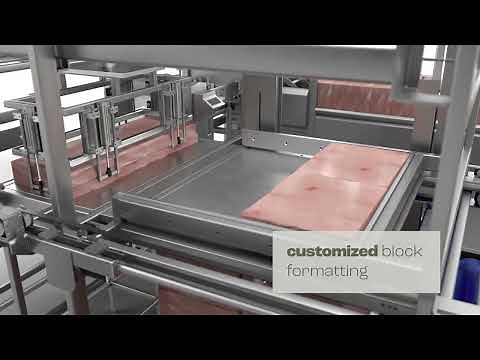Vertical plate freezing solution including automation for poultry