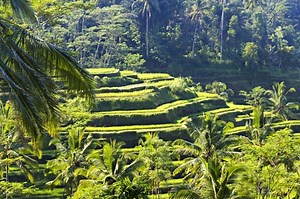 Relax Your Soul With Surah Al-Hashr | About Islam