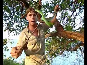 Africa's Deadliest Snakes (Part 3)