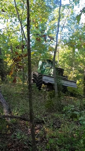 Scene from "Buzzards" Watch FULL video here https://business.facebook.com/officialboysinthewoods/videos/1249716342269317/ | Boys In The Woods