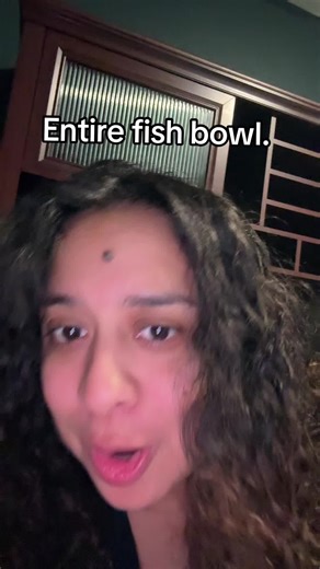 👀 no words. #houstontexas #houston #springbreak #fyp #stdawareness | houston spring break