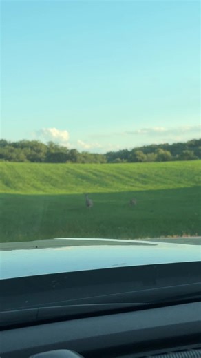 autumndrews (@autumndrews)’s videos with original sound - autumndrews