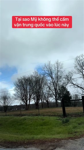 Phong Alabama 🇻🇳 🇺🇸 (@phong.alabama)’s videos with âm thanh gốc - Phong Alabama 🇻🇳 🇺🇸