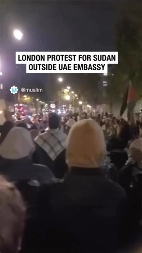 728K views · 10K reactions | London protest outside the UAE embassy calling out complicity of g*noc*de in Sudan.  | Muslim | Facebook