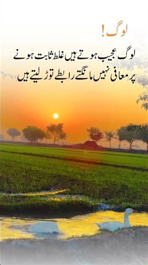 Urdu shayari, Urdu poetry, Mohabbat shayari, love poetry, poem, Urdu Nazam, sad poetry,