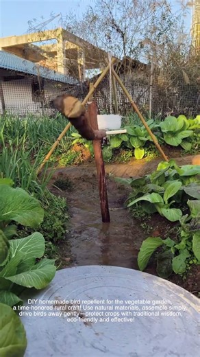 DIY Garden Bird Repellent Tool Making
