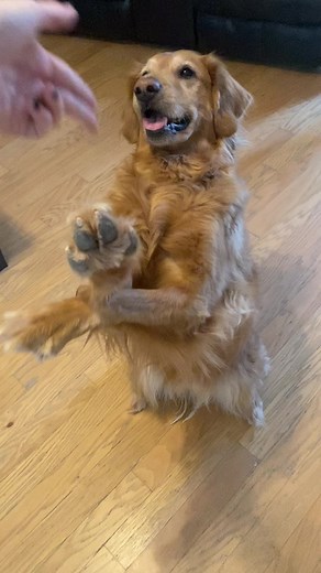 Can we all just appreciate how dramatic that death was ?! Look at the acting