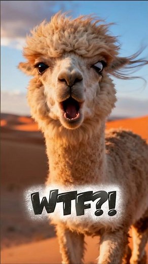 “You Won’t Believe This Camel × Llama Hybrid Exists! 😱”