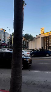 Vine street and sunset boulevard Los Angeles California 🌴😍🇺🇸 | Life in America