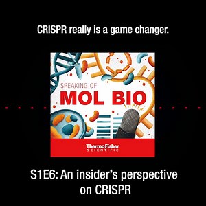 The wait is over — it’s time for episode 6! ⏰🎉 Tune in to the Speaking of Mol Bio Podcast for an insider's perspective on CRISPR cell engineering. Our guest Dr. Doris Beylkin discusses experimental design, troubleshooting, and the evolution of gene editing. Subscribe now and get inspired by molecular biology! 🎧 Listen here: http://spr.ly/6182Pybte #CRISPR #geneediting #iLoveMolBio #podcast | Thermo Scientific Biology