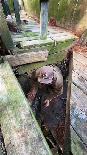 Louisiana Cypress Tree Duck Blind Build | Crawfish Farm