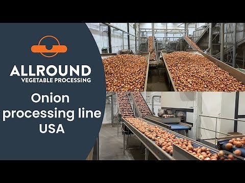 Onion processing line | BAK | USA | Allround Vegetable Processing