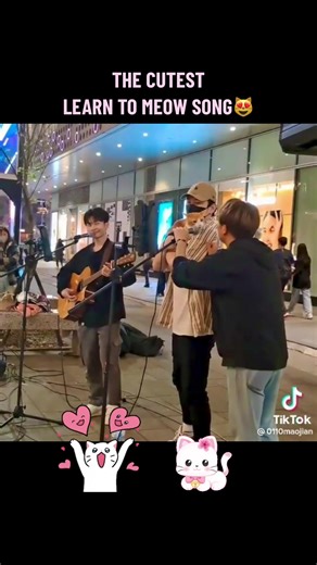 Learn to Meow Song TikTok Compilation