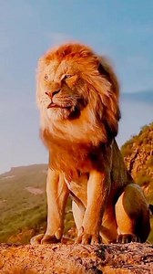 Hazrat Ali - The Lion of Allah