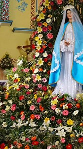 11K views · 247 reactions | Viva Cañada Grande y la Inmaculada Concepción Rioverde, San Luis Potosí MX  #fiestaspatronales2025 #localphotographer #djiminipro4 #sanluispotosi #fblifestyle #documentaryphotography | Foto Serch | Facebook