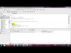 PL - SQL - 24 - SQLCODE and SQLERRM