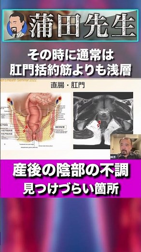 肛門括約筋・直腸癒着の重要性 #Short, #セミナー, #セラピスト, #リハビリ, #神経痛, #リハビリ, #解剖学, #柔道整復師, #治療