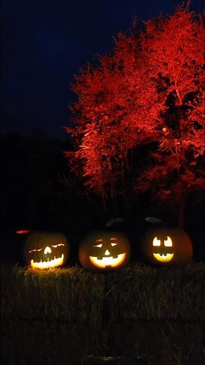 Singing Jack-o-Lanterns at Night of the Jack